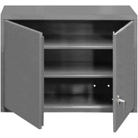 Armoire murale, 27" h x 29-7/8" la x 13-11/16" p, 2 tablettes, Acier, Gris St. Lawrence Industrial & Safety Supply