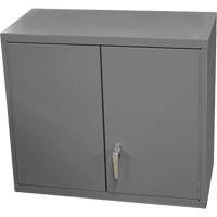 Armoire murale, 27" h x 13-11/16" la x 35-7/8" p, 2 tablettes, Acier, Gris St. Lawrence Industrial & Safety Supply