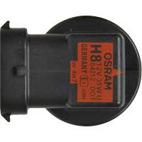 Ampoule de base pour feu avant H8, Halog&egrave;ne, 35 W, Blanc cass&eacute; St. Lawrence Industrial & Safety Supply