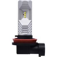 Ampoule pour feu avant H8, DEL, 12,8 W/9 W, Blanc St. Lawrence Industrial & Safety Supply