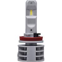 Ampoule pour feu avant H11, DEL, 13,2 W/17 W, Blanc St. Lawrence Industrial & Safety Supply