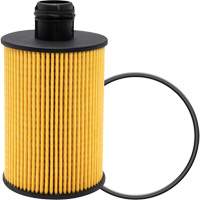 P40147 &eacute;l&eacute;ment filtrant pour l'huile St. Lawrence Industrial & Safety Supply