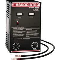 Chargeur de batterie parall&egrave;le &agrave; haute performance St. Lawrence Industrial & Safety Supply