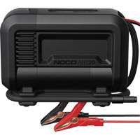 Compresseur d'air portable de 20 A St. Lawrence Industrial & Safety Supply