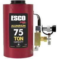 Heavy-Duty Hydraulic Cylinder, 6" Stroke, 75 Ton(s) Capacity, 10000 PSI St. Lawrence Industrial & Safety Supply