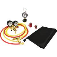 Ensemble pour test de fuite dazote pour climatisation automobile avec r&eacute;gulateur St. Lawrence Industrial & Safety Supply