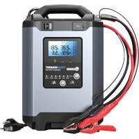 Chargeurs de batterie de voiture