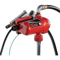 Pompe de transfert de carburant 12 V CC avec pistolet St. Lawrence Industrial & Safety Supply