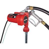 Pompe de transfert de carburant 12 V CC avec pistolet St. Lawrence Industrial & Safety Supply