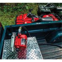 Pompe de transfert de carburant 12 V CC avec pistolet St. Lawrence Industrial & Safety Supply