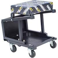 Si&egrave;ge tabouret 2 en 1 St. Lawrence Industrial & Safety Supply