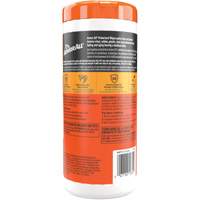 Original Protectant Wipes St. Lawrence Industrial & Safety Supply