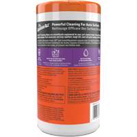 Cleaning Wipes St. Lawrence Industrial & Safety Supply