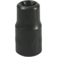 E-8 Torx&reg; Socket St. Lawrence Industrial & Safety Supply