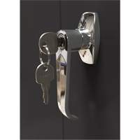 Armoire d'entreposage, Acier, 4 Tablettes, 66" h x 30" la x 15" P, Noir St. Lawrence Industrial & Safety Supply