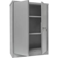 Armoire de rangement &agrave; hauteur de comptoir, Acier, 2 Tablettes, 42" h x 30" la x 15" P, Gris St. Lawrence Industrial & Safety Supply