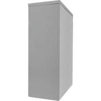 Armoire de rangement &agrave; hauteur de comptoir, Acier, 2 Tablettes, 42" h x 30" la x 15" P, Gris St. Lawrence Industrial & Safety Supply