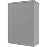 Armoire de rangement &agrave; hauteur de comptoir, Acier, 2 Tablettes, 42" h x 30" la x 15" P, Gris St. Lawrence Industrial & Safety Supply