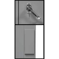 Armoire de rangement &agrave; hauteur de comptoir, Acier, 2 Tablettes, 42" h x 30" la x 15" P, Gris St. Lawrence Industrial & Safety Supply