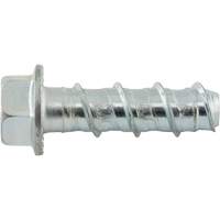 Boulons Wedge Bolts, Acier au carbone, 1/2" x 2" St. Lawrence Industrial & Safety Supply
