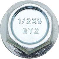 Boulons Wedge Bolts, Acier au carbone, 1/2" x 2" St. Lawrence Industrial & Safety Supply