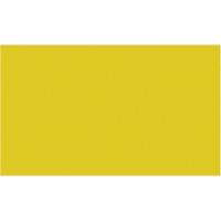 Cales minces chromocod&eacute;es en plastique St. Lawrence Industrial & Safety Supply