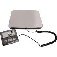 Balance de r&eacute;ception num&eacute;rique, Capacit&eacute; 220 lb, Graduations 1 lb St. Lawrence Industrial & Safety Supply