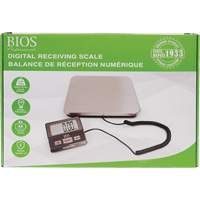 Balance de r&eacute;ception num&eacute;rique, Capacit&eacute; 220 lb, Graduations 1 lb St. Lawrence Industrial & Safety Supply