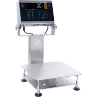 Balance d&eacute;tabli lavable 6000 Defender, Capacit&eacute; de 50 lb, 11-4/5" lo x 11-4/5" la St. Lawrence Industrial & Safety Supply