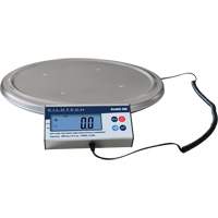 Keg Weighing Scale, 200 kg Capacity St. Lawrence Industrial & Safety Supply
