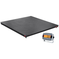 Balances de plancher Defender 3000, Capacit&eacute; de 5000 lb, 5' lo x 5' la St. Lawrence Industrial & Safety Supply