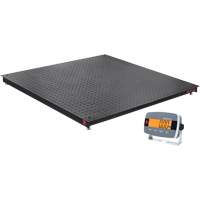 Balance de plancher DEFENDER 3000, Capacit&eacute; de 2500 lb, 48" la x 48" lo St. Lawrence Industrial & Safety Supply