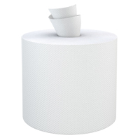 Everest Pro Paper Towel Rolls, 2 Ply, Centre Pull, 500' L St. Lawrence Industrial & Safety Supply