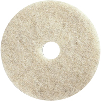 Tampons pour l'entretien des planchers, 21", Brunissage, Brun St. Lawrence Industrial & Safety Supply
