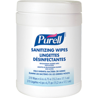Hand Sanitizer Wipes