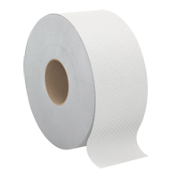 Papier hygi&eacute;nique Pro Select, Rouleau G&eacute;ant, 2 Pli, Longueur 500', Blanc St. Lawrence Industrial & Safety Supply