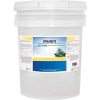 Dynamite Odourless Stripper & Degreaser, 20 L, Pail St. Lawrence Industrial & Safety Supply
