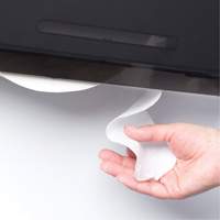 Cored JRT Combo Unit Toilet Paper Dispenser, Multiple Roll Capacity St. Lawrence Industrial & Safety Supply