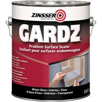 Scellant de surface &agrave; probl&egrave;mes Gardz, 916 ml, Canette, Transparent St. Lawrence Industrial & Safety Supply