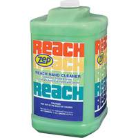 Reach Extra Heavy-Duty Hand Cleaner, Pumice, 3.78 L, Jug, Scented St. Lawrence Industrial & Safety Supply