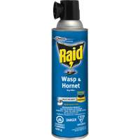 Insecticide contre les gu&ecirc;pes et les frelons Raid, 400 g, &agrave; base de solvant St. Lawrence Industrial & Safety Supply