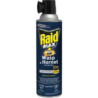 Mousse insecticide contre les gu&ecirc;pes et les frelons Raid Max, 500 g, Canette a&eacute;rosol, &agrave; base de solvant St. Lawrence Industrial & Safety Supply