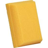 &eacute;ponge &agrave; coulis, Coulis, 5" la x 7" l St. Lawrence Industrial & Safety Supply