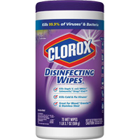 Disinfecting Wipes, 75 Count St. Lawrence Industrial & Safety Supply