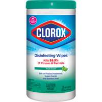 Disinfecting Wipes, 75 Count St. Lawrence Industrial & Safety Supply