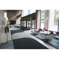 Supreme Knob Entrance Matting, Wiper/Scraper, 6-1/2' x 75-1/2' x 7/16", Charcoal St. Lawrence Industrial & Safety Supply