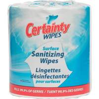 Surface Sanitizing Wipes, Packet St. Lawrence Industrial & Safety Supply