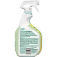 Nettoyant d&eacute;sinfectant CloroxPro Clorox EcoClean, 946 ml, Bouteille &agrave; g&acirc;chette St. Lawrence Industrial & Safety Supply