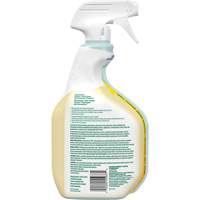Nettoyant tout usage CloroxPro Clorox EcoClean, 946 ml, Bouteille &agrave; g&acirc;chette St. Lawrence Industrial & Safety Supply