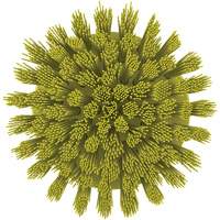 Brosse ronde HyDrive pour perceuse, Soies Tr&egrave;s ferme, Longueur de 3-1/10", Jaune St. Lawrence Industrial & Safety Supply